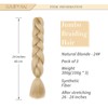 Gairyan Jumbo Braid Extensions, 60 cm, Synthetic Hair for Braiding,