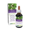 Naturalma Lemon Balm (Melissa officinalis) Leaves Alcohol-Free Mother Tincture Naturalma