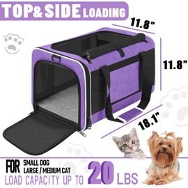 GAPZER Pet Carrier for Large Cat 20 lbs+ / Soft Sided Small Dog 12 Pounds Travel Crate Top Load/Collapsible Kitty Carry Bag Big Kitten Mesh/Sturdy Animal Transport cage Kennel Long Trips Purple