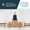 Cash Acme 3/4 Inch EB45 Double Union Pressure Regulating Valve