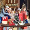Mrinb 45CM Small Christmas Tree with Lights,Mini Desktop Decoration Tree