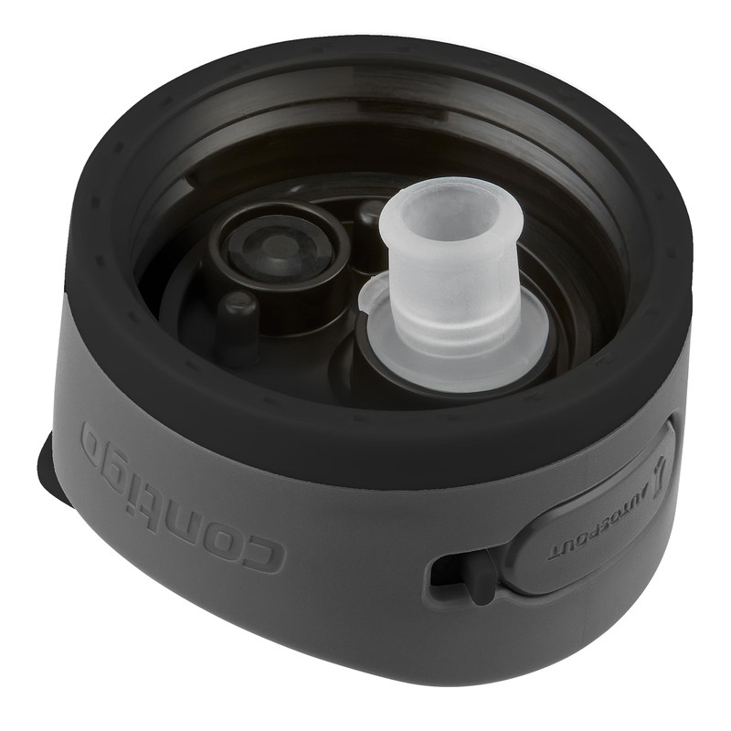 Contigo Ashland 2.0 Leak-Proof Water Bottle with Straw and Carry