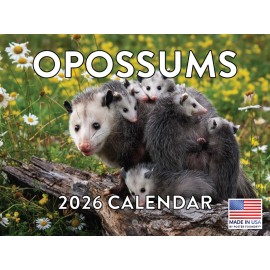 Decor Logistics Opossum Calendar 2026 Monthly Wall Calender 12 Month
