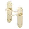 EAI Polished Brass Door Handles - Victorian Scroll Shaped |