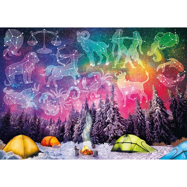 Buffalo Games - Written in The Stars - 300 Large Piece Jigsaw Puzzle