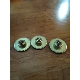 1 Bridger Bowl First Tracks Pin 2003