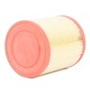 Valeo 585676 Air Filter