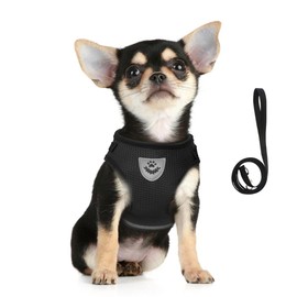 FeiLuo Dog Harness and Lead Set, Soft Mesh Padded Harness for Puppies and Cats, Reflective, Adjustable, Breathable Chest Harness for Walking, Running, Training, s, Black