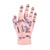 HYEANHLPYE Left Hand Acupuncture Trigger Point Model Anatomy Learning Precision