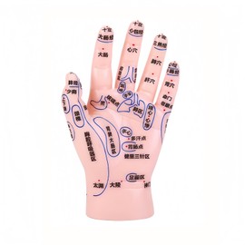 HYEANHLPYE Left Hand Acupuncture Trigger Point Model Anatomy Learning Precision Trigger Point Education Tool Massage Part Learning Hand Model Educational Training Equipment Reflexology Hand Model
