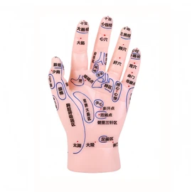 HYEANHLPYE Left Hand Acupuncture Trigger Point Model Anatomy Learning Precision Trigger Point Education Tool Massage Part Learning Hand Model Educational Training Equipment Reflexology Hand Model