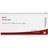 WALA Solum Inject Ampoules, Pack of 10