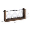 Mkono Plant Propagation Station with Wooden Stand, Wall Hanging Glass