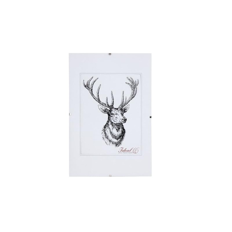 IDEAL TREND RX Frameless Picture Frame Picture Holder Clip Frame