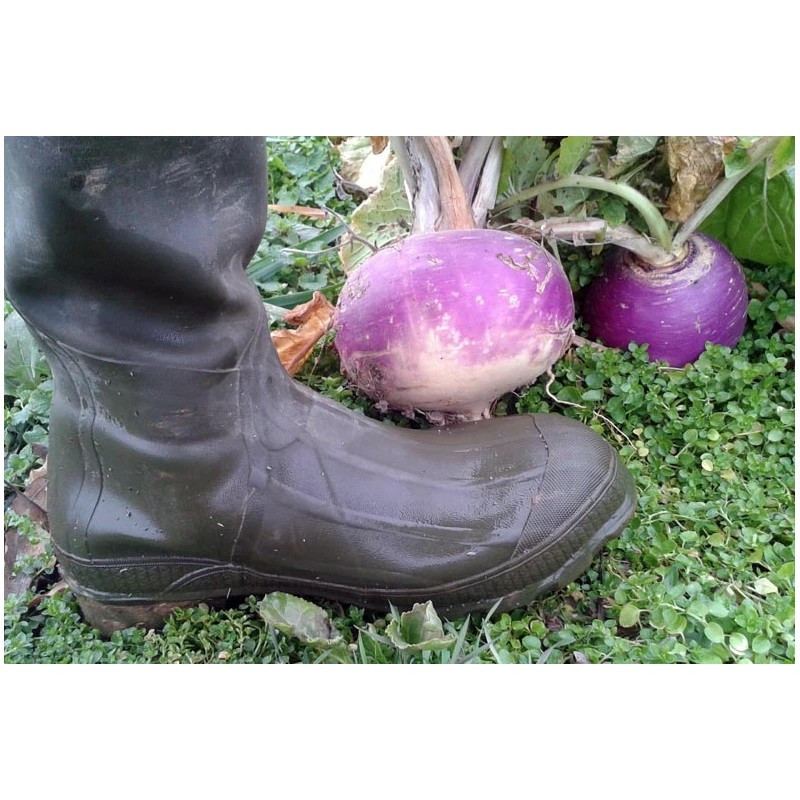 Deer Food Plot Supplies From Real World Wildlife Products RWWP