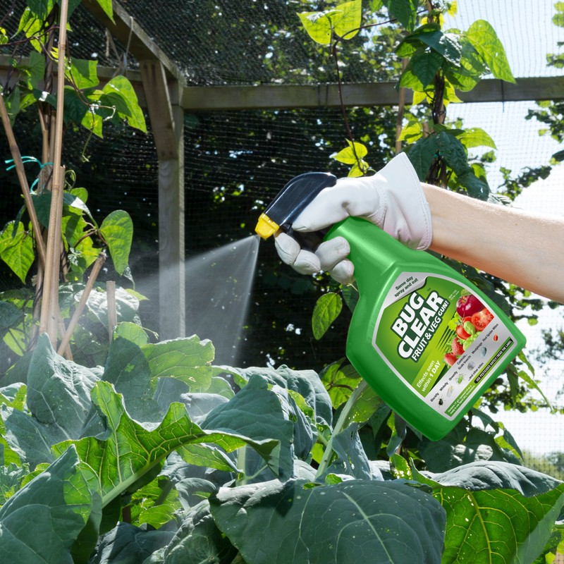 BugClear Fruit and Veg Gun 800 ml