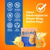 Baloo Electrolytes Powder Packets - No Added Sugar - Hydration