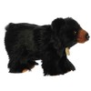 Aurora - Miyoni - Cachorro de Oso Negro - 25.4cm.