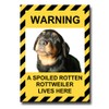 Rottweiler Spoiled Rotten Fridge Magnet No 1 Funny