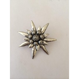 C1 Large Edelweiss pin badge fine english pewter pin badge with a prideindetails gift package