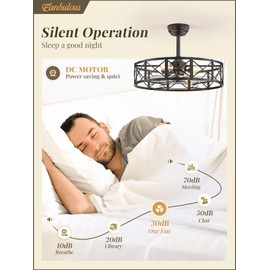 Fanbulous 23 Inch Fandelier Caged Ceiling Fans with Lights and Remote, Black Bladeless Ceiling Fan with 6 Speeds and Timing, Farmhouse Samll Fan Lights Ceiling Fixtures For Kitchen, Bedroom-Black