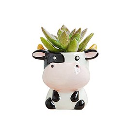 DIYOMR - Maceta pequeña para suculentas con forma de dibujos animados para plantas mini, cactus de flores, cerámica suave y brillante, plantas no incluidas (vaca)