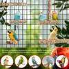 Bird Perches,4pcs Natural Wood Birds Stand Branch, Bird Perch Chewing