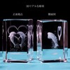 Kertari K9 Crystal Dolphin, 3D, LED Bedside Light, Stylish, Interior,