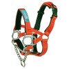 Big Dog Styles Head Collar, Made in UK for Large