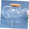 CIYODO 1.6l Glass Water Filter Kettle with Strainer Camping Kettle