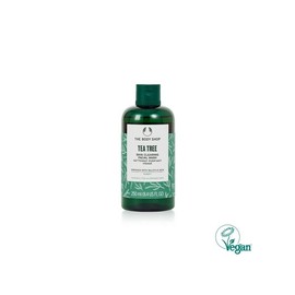 Tea Tree Skin Clearing Facial Wash 250ML (33429) / 티트리 스킨 클리어링 훼이셜 워시 250ML (33429)