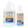 Guardian Pool & Tile Cleaner (1 gal) & Salt Cell