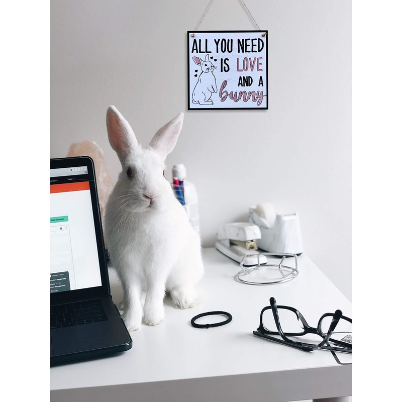 CARISPIBET All you need is love and a bunny pet