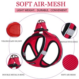 PUKAKO Puppy Harness and Leash Set, Small Dog Harness and Leash Set, Step in Small Size Harness with Soft Mesh and Reflective Bands for Extra-Small/Small Dogs, Red, S