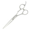 [axis] YR Set, 5.5 Inch Hair Cut, Self-Cutting Scissors, Scissors,
