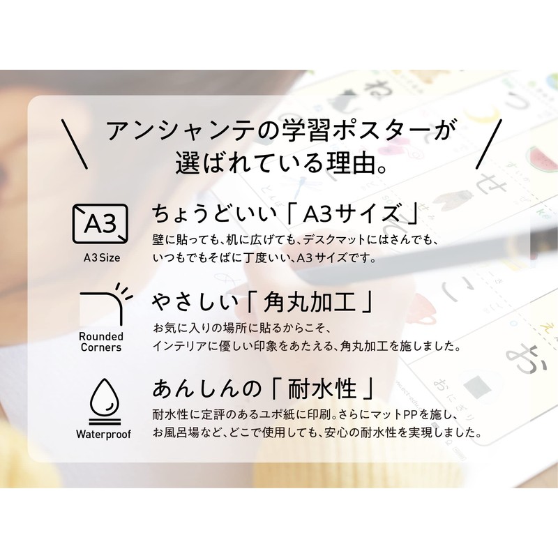 Enchante Study Poster Set of 4 (Hiragana | Katakana |