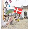50 Pack Denmark Danish on Stick Flags,Small Mini Hand Held