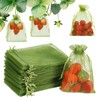 Shintop 100Pcs Fruit Protection Bags, 4x6 Inch Green Strawberry Netting