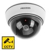 BW Outdoor Indoor Fake Imitation IR Dome CCTV Blinking Red