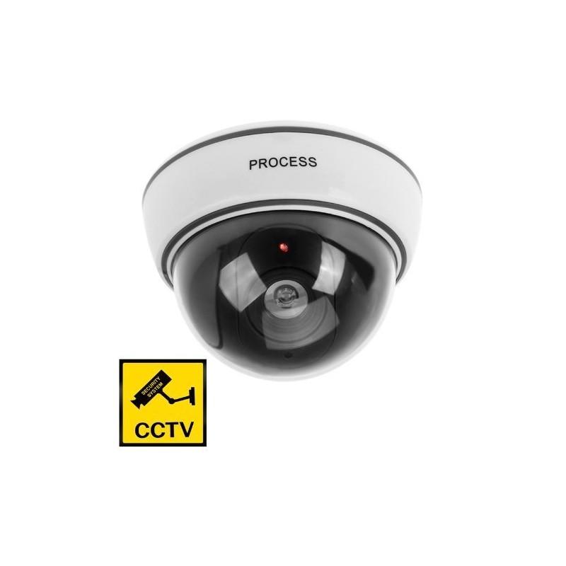 BW Outdoor Indoor Fake Imitation IR Dome CCTV Blinking Red