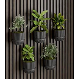 Vleugel Acoustic Panel 2 x Small Rings + 2 x Small Pot