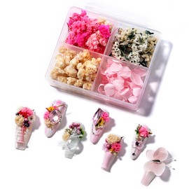 SAVILAND 3D Dried Flowers for Nails: 60PCS Dried Flowers for Resin Small Tiny Dry Flowers for Nail Art Little Pressed Real Natural Flower for DIY Manicure Nails Design