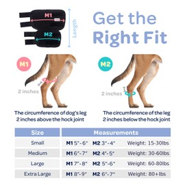 Labra Dog Rear Leg Hock Joint Compression Wrap - Supportive Brace for Weak Back Legs, ACL Tear, and Joint Discomfort - Adjustable Hind Leg Support for Senior Dogs - Medium