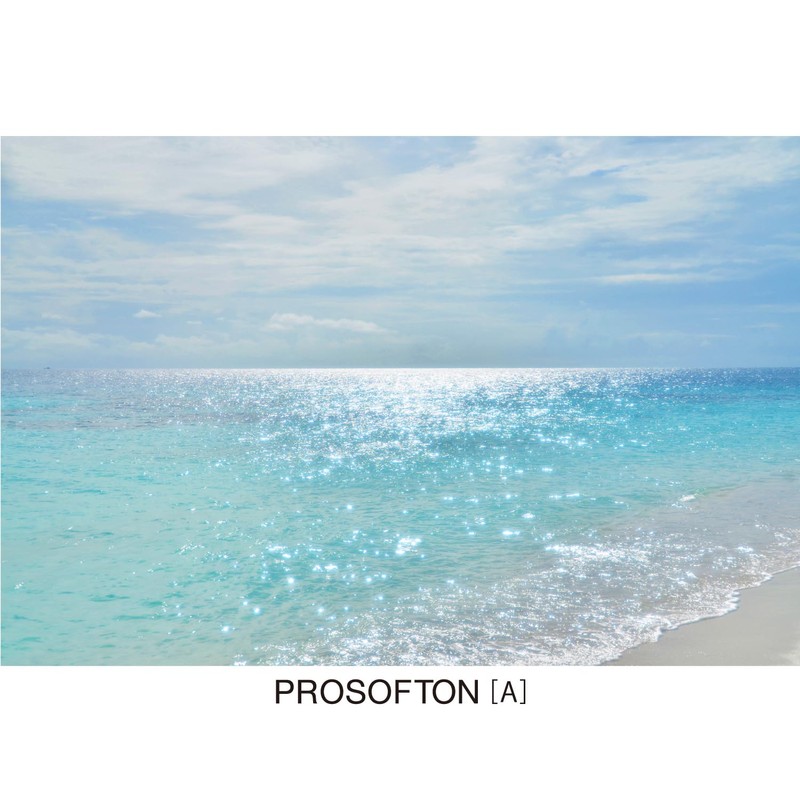 Kenko 249659 Pro Soft Filter Pro Soft Filter (A) (W)