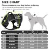 WINSEE Service Dog in Training Mesh Harness with 10 Pet