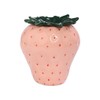 WAIT FLY Strawberry Ceramic Ashtray, Cute Cigar Ashtray for Indoor