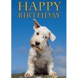 Sealyham Terrier Dog Greeting Card by Charles Sainsbury-Plaice