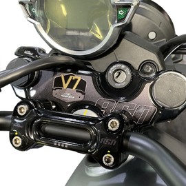 Resin Bike Motorcycle 3D Stickers Compatible with Guzzi V7 850 2021. Steering Plate Protection from Bumps and Scratches. Resin- Sticker for Steering Fork Plate