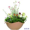 Yamato Plastic Pot, Planter Harmony Pot