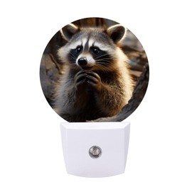 BWQSKL Night Light Cute Raccoon Wall Mounted Night Light for Bathroom Hallway Bedroom Kitchen Home Decoration, Holiday Gifts